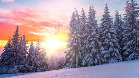 試煉熬煉來拯救潔淨我的敗壞性情