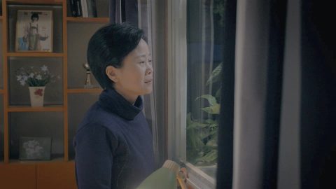 被仰望的人有祸了 你真的知道吗