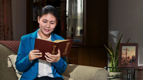 顺服神的收获