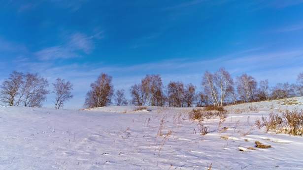 雪地