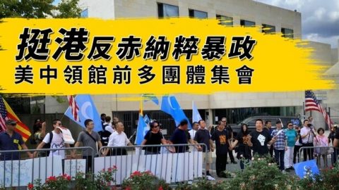 挺港反赤納粹暴政